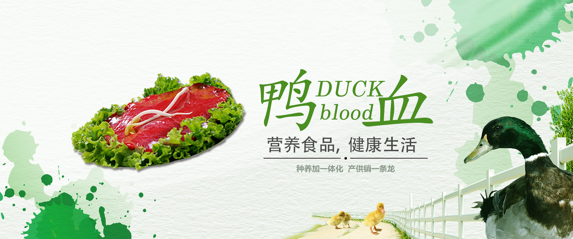做實力派 健康鴨血生產(chǎn)工廠